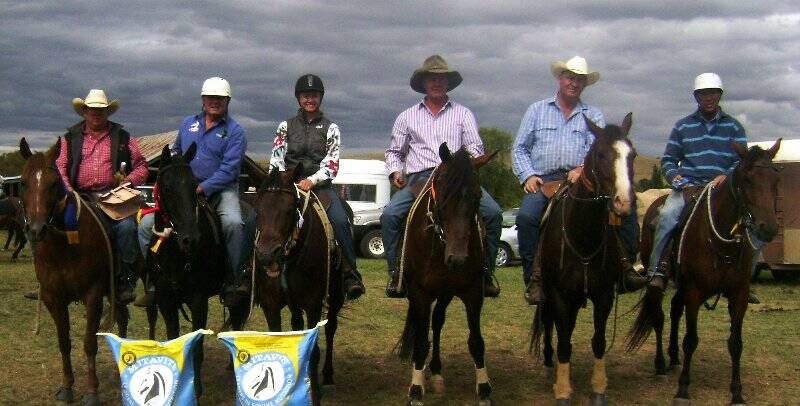 The novice draft line-up at Gunning Campdraft at the weekend. 