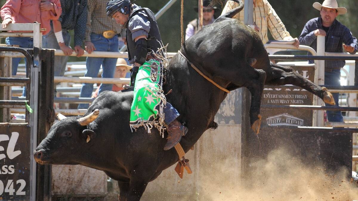 Expect thrills and spills as the best bull riders in the country ply their trade at the Yass Showground on March 15. Photo: RS Williams.