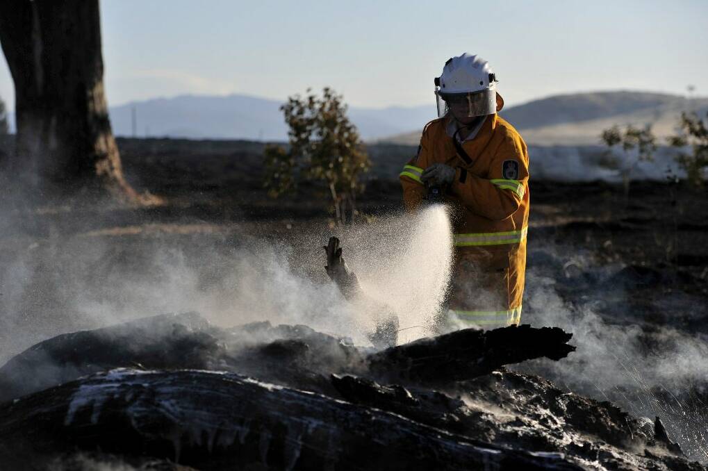 A fire fighter puts out a fallen tree at Wallaroo on Wednesday. Photo: Canberra Times.  
