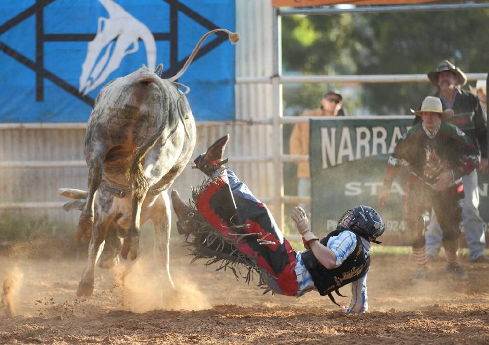 The Yass Rodeo provided thrills and spills for the crowds at the weekend. Photo: RS Williams.