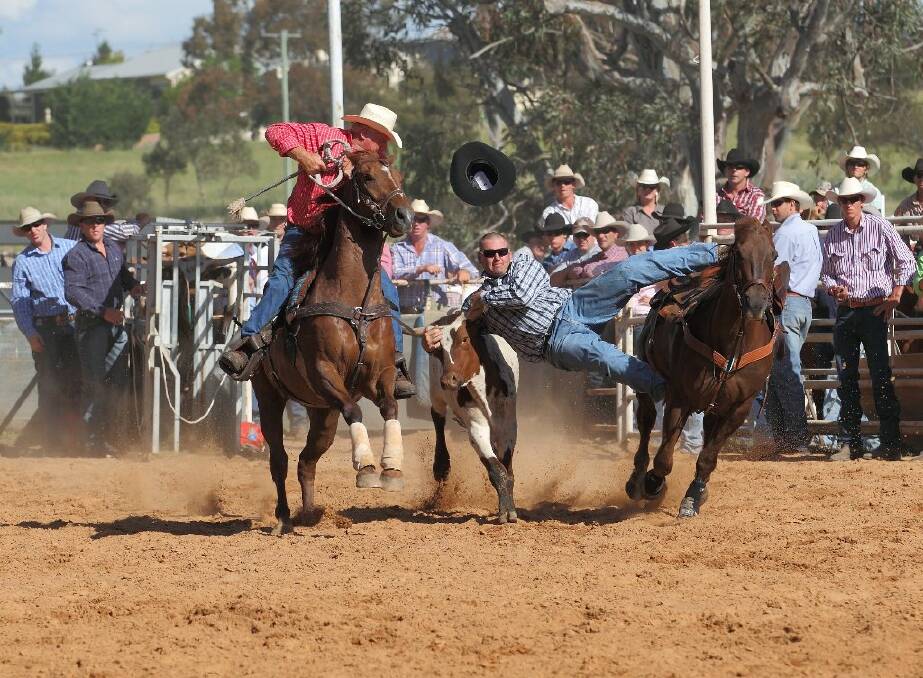 Steer wrestling is an extremely popular event.