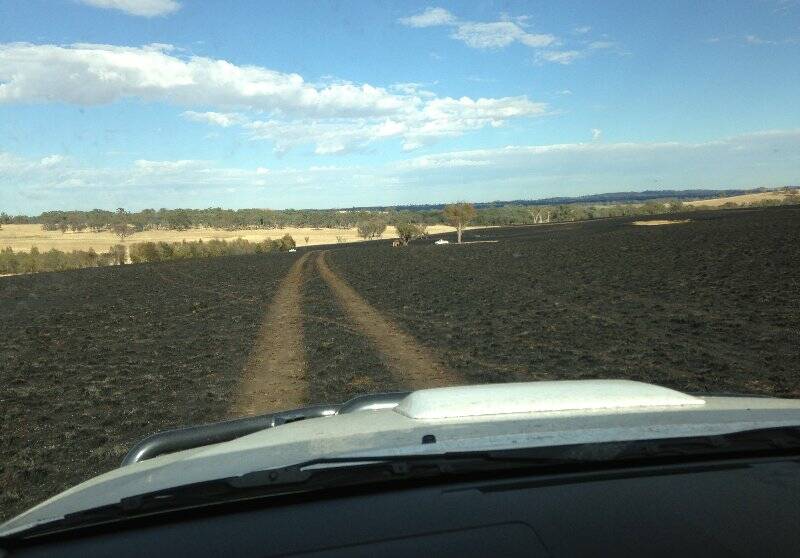 A fire at Kangiara, near Lachlan Valley Way, burnt around 240 hectares on Saturday. Photo: Kate Archer.