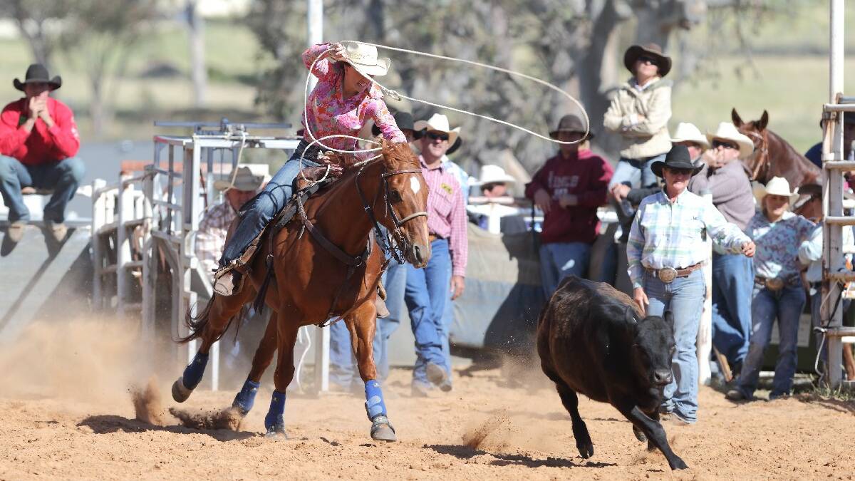 According to organisers, the Yass Rodeo was a big success at the weekend. Photo: RS Williams.