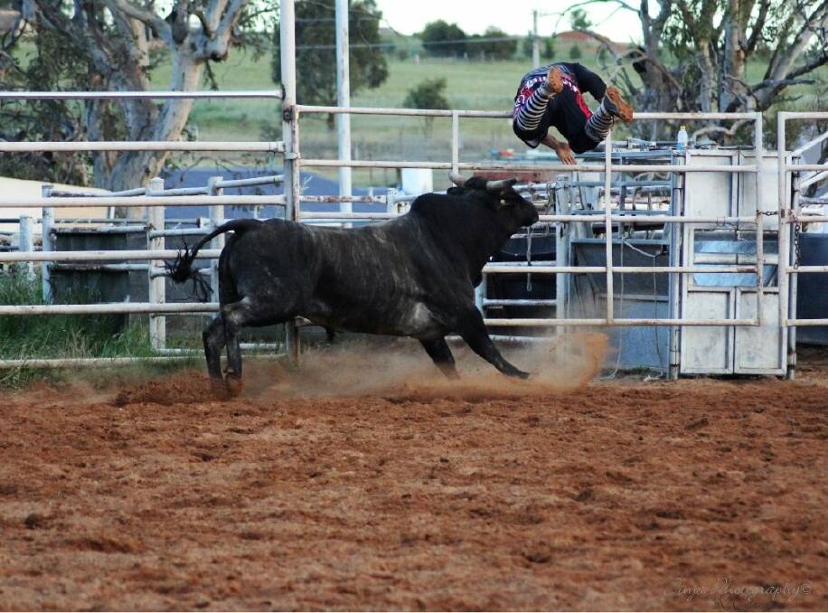Duncan Burley gets thrown from a bull at the 2012 Yass Rodeo: Photo: Rachel Corsini