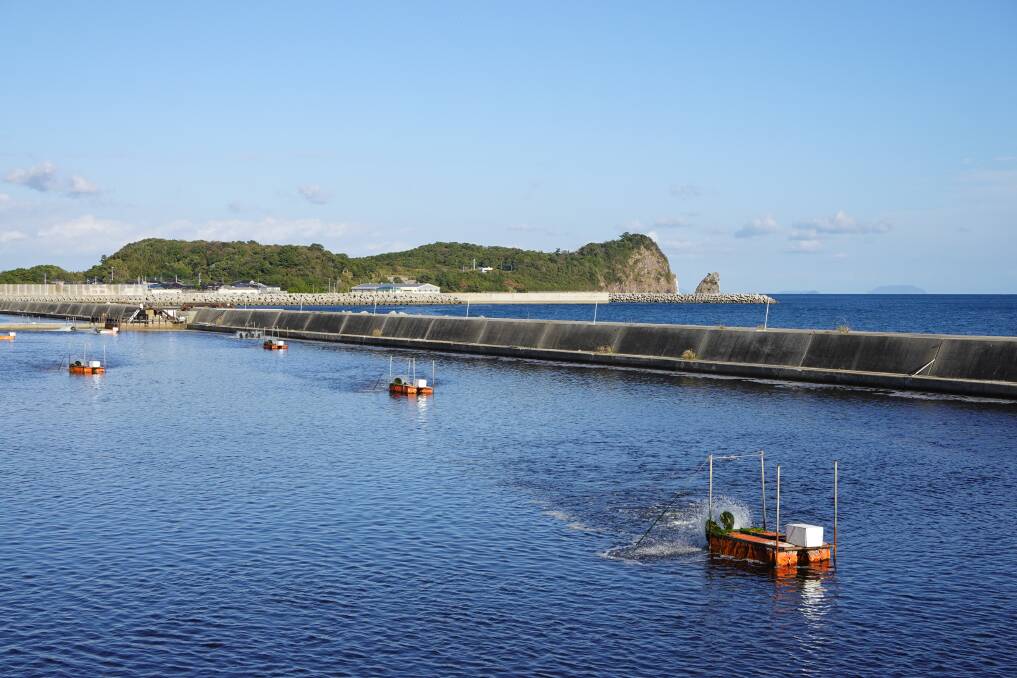 A prawn farm. A prawn farm.