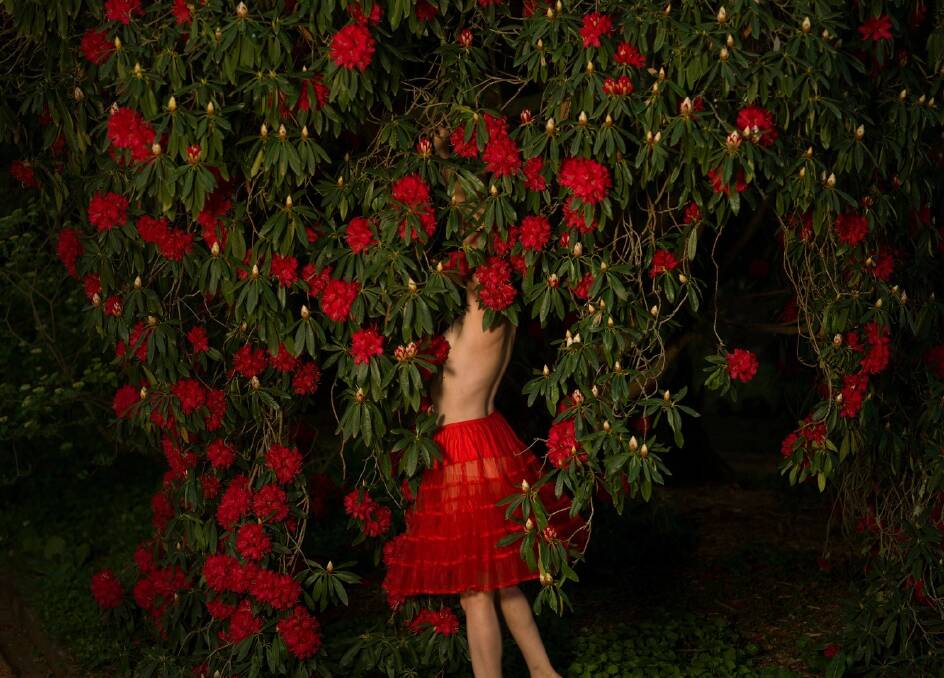 Night Garden by Tamara Dean.