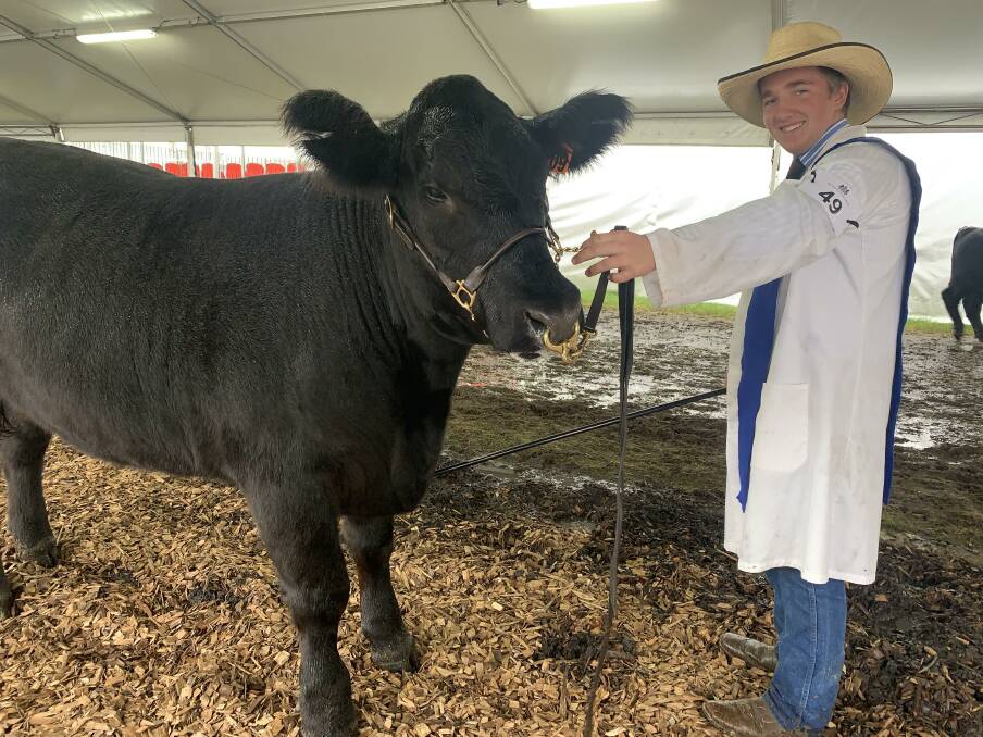 Thomas Andersen first started showing cattle when he was just seven-years-old at a local show near Yass. Photo: Supplied.