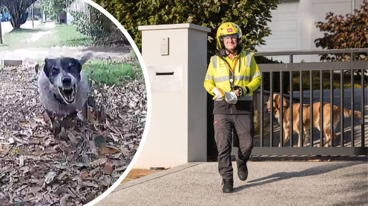 Australia Post said an average of nine dog-related incidents per day occurred in the past six months. Supplied Australia Post said an average of nine dog-related incidents per day occurred in the past six months. Supplied
