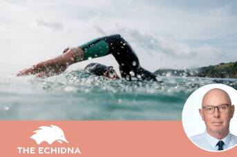 Can anyone explain the Australian addiction to swimming in sharky waters?