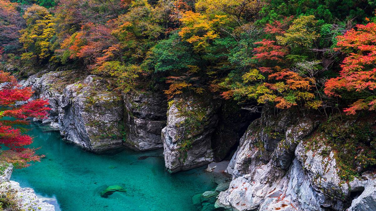 Australians are flying to Japan in big numbers, but this spot remains undiscovered