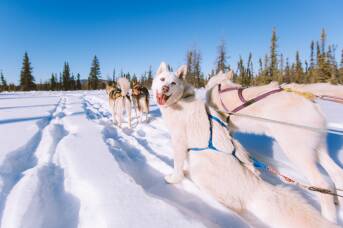 I'm a full-time travel editor and this 'James Bond' moment in Alaska blew my mind