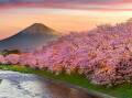 Ultimate guide to cherry blossoms in Japan: When and where to go in 2024