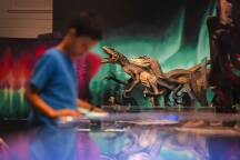 Both Sydney and Melbourne have natural history museums - but which one's the best?