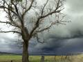 A storm front over Yass. File picture