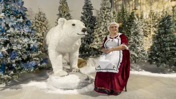 Mrs Claus (Christine Bain) with a friend at North Pole Lane. Picture by Gary Ramage