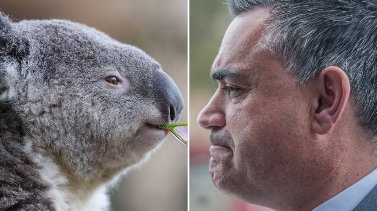 FACE OFF: NSW Nationals leader John Barilaro (right) threatened to pull support for government legislation unless the koala habitat planning laws were changed.
