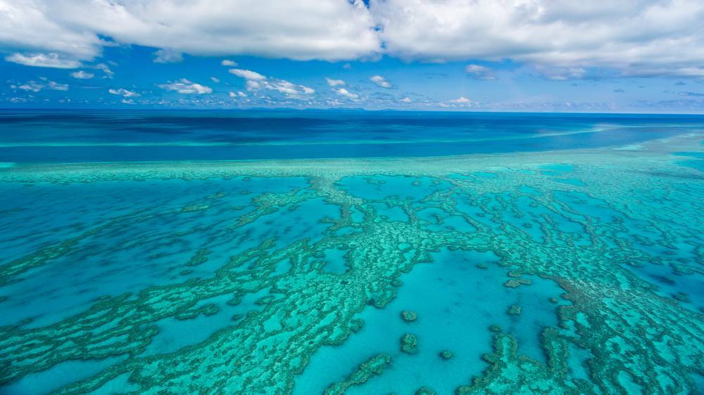 Explore the Great Barrier Reef a little differently. Picture: Shutterstock