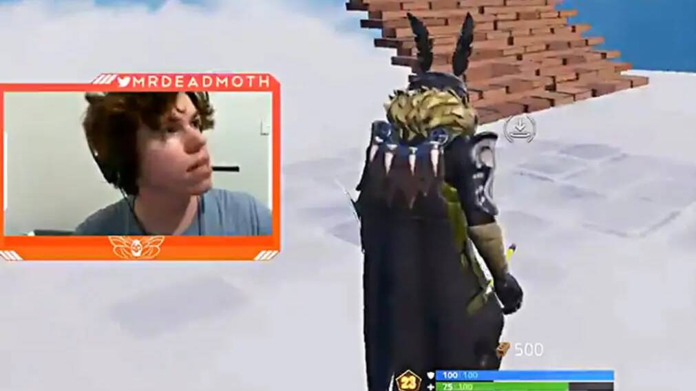 A 26-year-old Oran Park man has been arrested for allegedly hitting his partner, which was allegedly livestreamed as he played Fortnite.