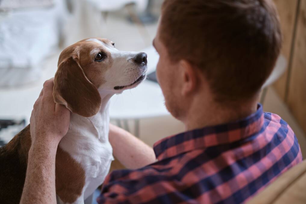 Research shows pet owners enjoy health benefits, including lowered stress levels. Picture Shutterstock
