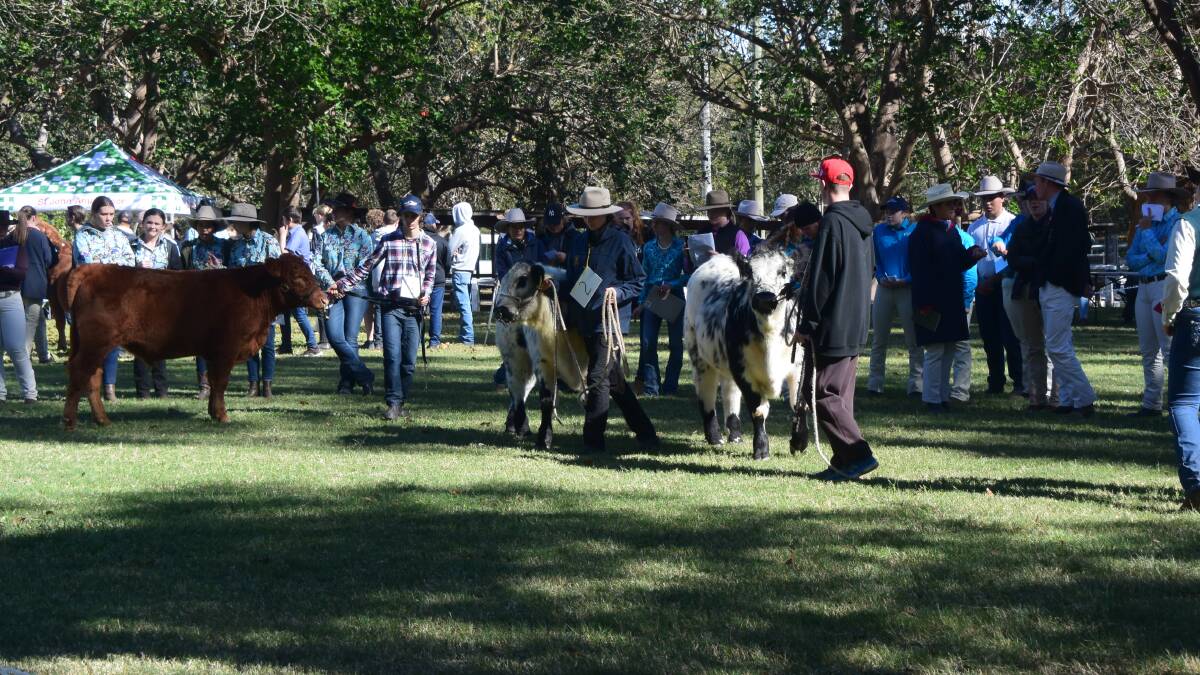 TOP EVENT: The 2021 South Coast Beef School Steer Spectacular will be held on Wednesday, May 5 at the Nowra Showground.