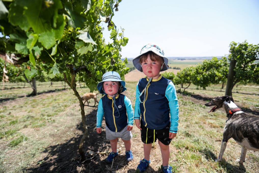Four generations: Wren Wurlod, 1, and Archer Wurlod, 3, play in the family vineyard. Picture: Morgan Hancock