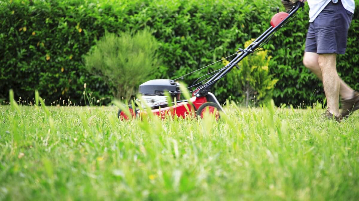HOW TO MOW: To turn your lawn into a lovely thick, dense patch it is important to only take the top tip off your grass.