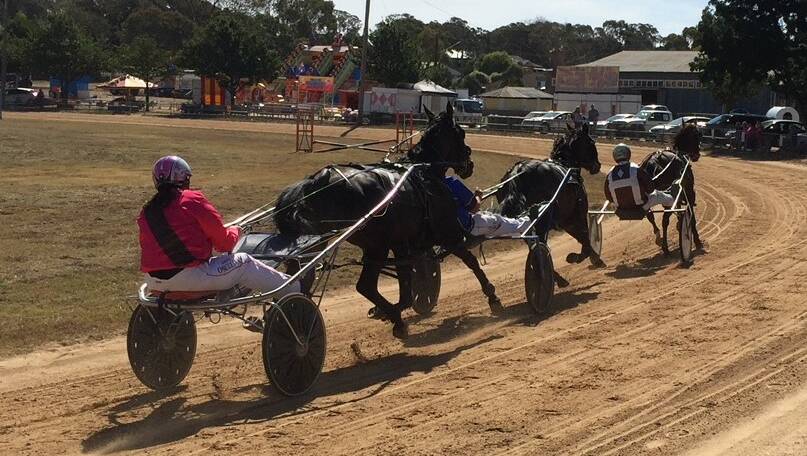 Harness racing on Saturday at the Gunning Show.