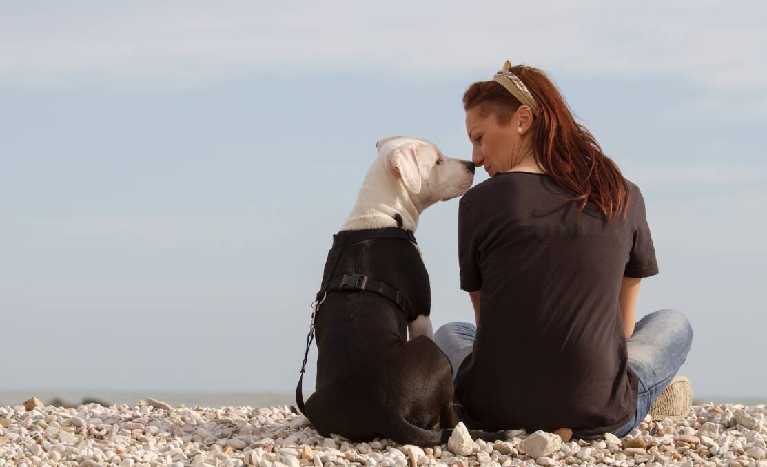GOOD DOG: Research shows that owning a dog is good for you in so many ways.
