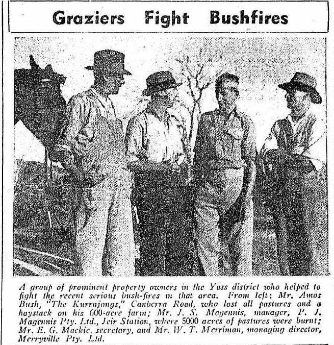 Graziers fight bush fires. (Image: Trove, Land, 11 February 1944.)
