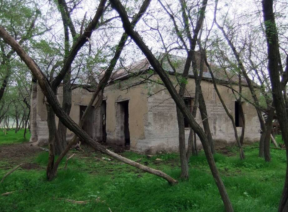 HOMESTEAD: The ruins of the family cottage on the Armstrong’s property.