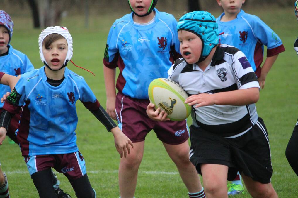 Run hard: Philip Gordon makes a run for the tryline in the Rams Under 9's match against the Wests Blue on the weekend. Photo: Supplied. 