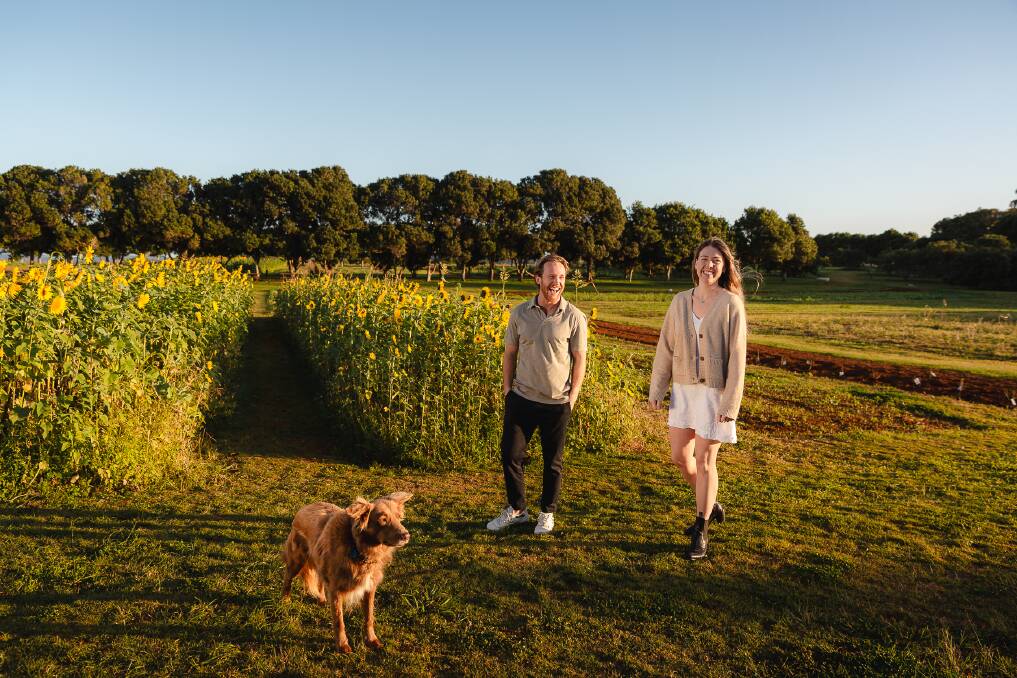 A couple and dog on a farm walk at Farm and Co. A couple and dog on a farm walk at Farm and Co.