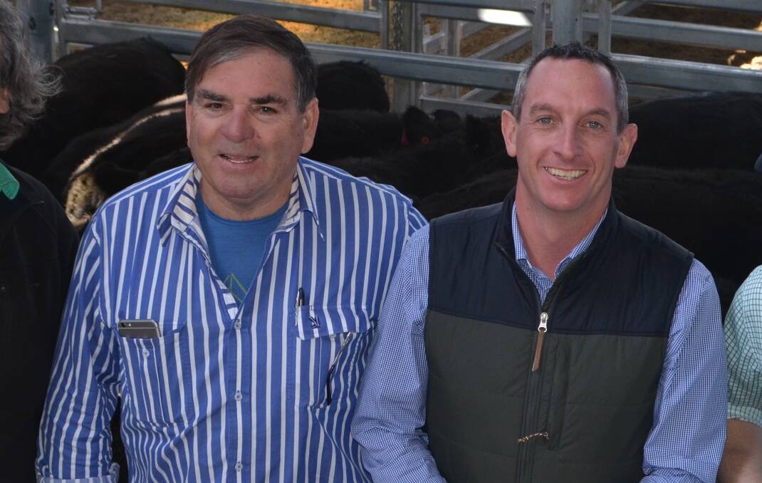 Brendan Abbey and Rohan Arnold after the opening cattle sale at the South Eastern Livestock Exchange (SELX) in Yass. Photo: The Land