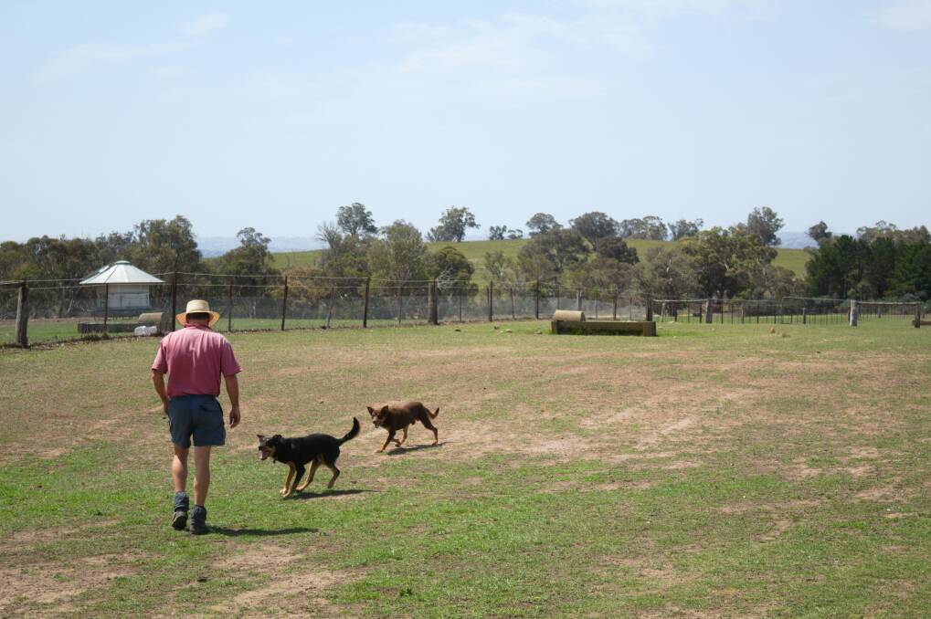 Dogs Jock and Slim help local farmer Ed Storey check on water in the troughs.