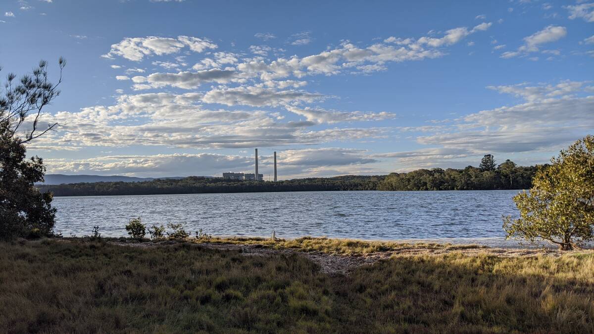 Coal ash is a byproduct of coal power generation and makes up a quarter of Australia's waste stream PHOTO: Laura Corrigan