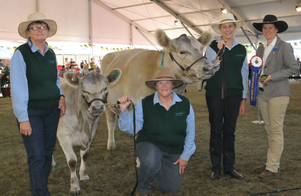 ELATED: Sandra Johnson, Margaret Hunter, Catherine McGoldrick and Jasmine Nixon with the winning cow and calf. Photo: Wayne Jenkins