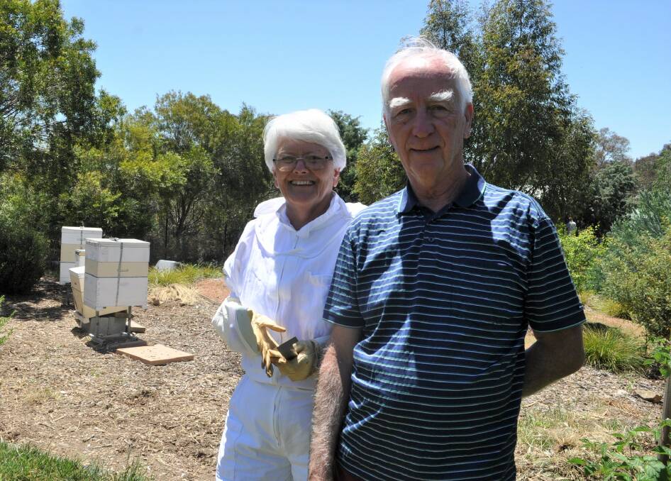LIVING WITH BEES: Joe and Susan Morrissey at their property that has a beehive. The couple says swarms are more prolific in warmer months. Photo: Toby Vue