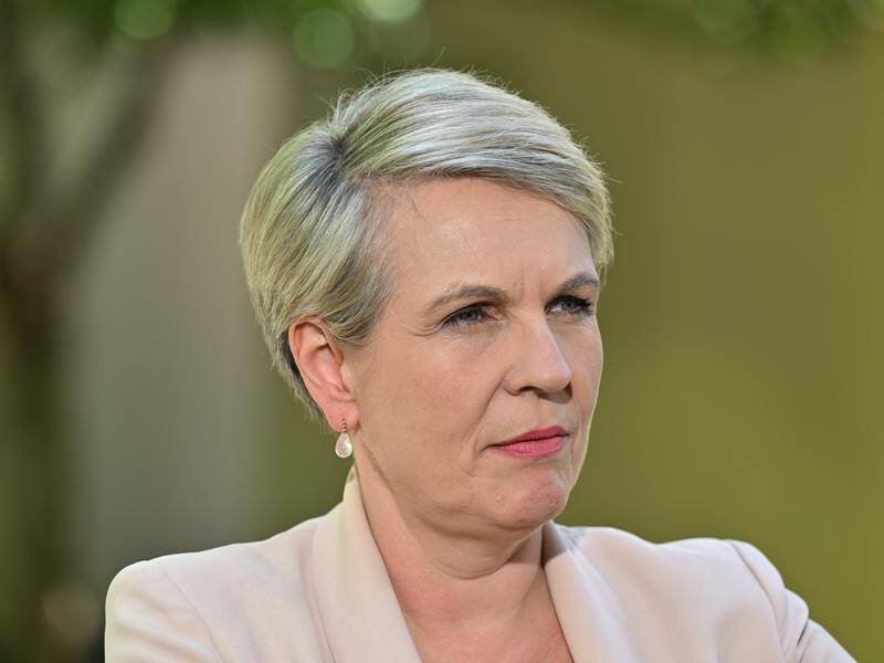 Environment Minister Tanya Plibersek says it is important to protect "rare and unique" wetlands. (Mick Tsikas/AAP PHOTOS)