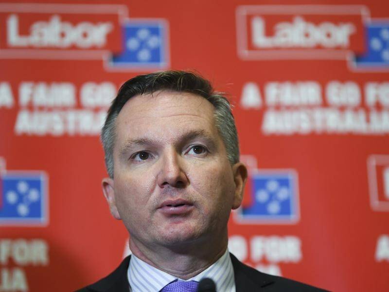 Shadow treasurer Chris Bowen has reaffirmed Labor's intent to review the rate of Newstart.