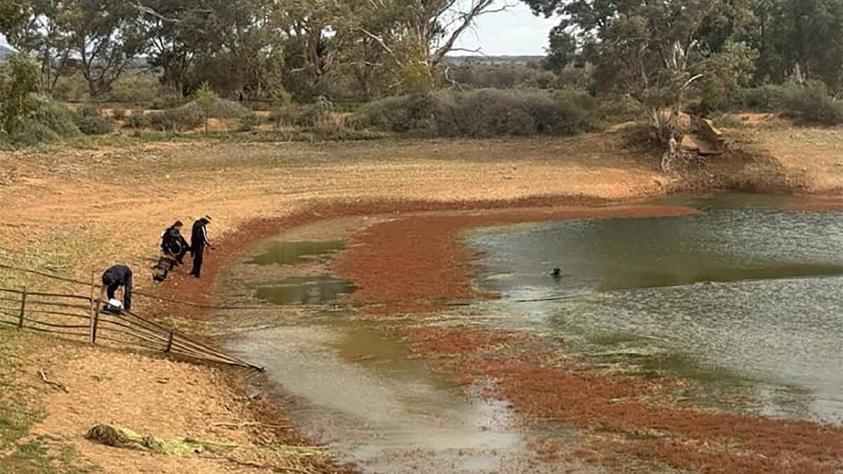 Dams at Oak Park Station have been searched and drained. (HANDOUT/SOUTH AUSTRALIA POLICE)