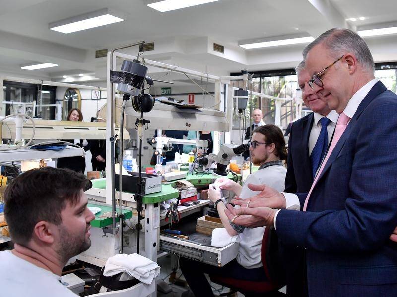 Anthony Albanese (right) says the jobs crisis can be solved with both domestic workers and migrants. (Bianca De Marchi/AAP PHOTOS)