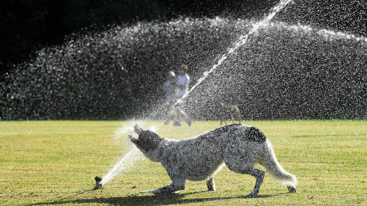 The next five years are expected to provide perfect weather for mad dogs and Englishmen. (Joel Carrett/AAP PHOTOS)