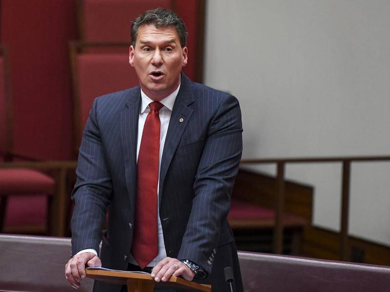 Independent senator Cory Bernardi has delivered his valedictory speech to parliament.