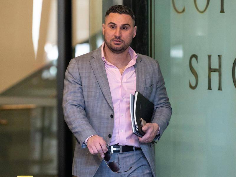 Sydney businessman Salim Mehajer has been jailed for lying to a court.