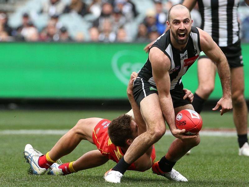 Steele Sidebottom needs surgery after he copped a kick to the groin during Collingwood training.
