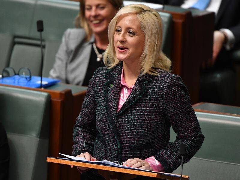 Liberal Member for Lindsay Melissa McIntosh has made her maiden speech at federal Parliament House.