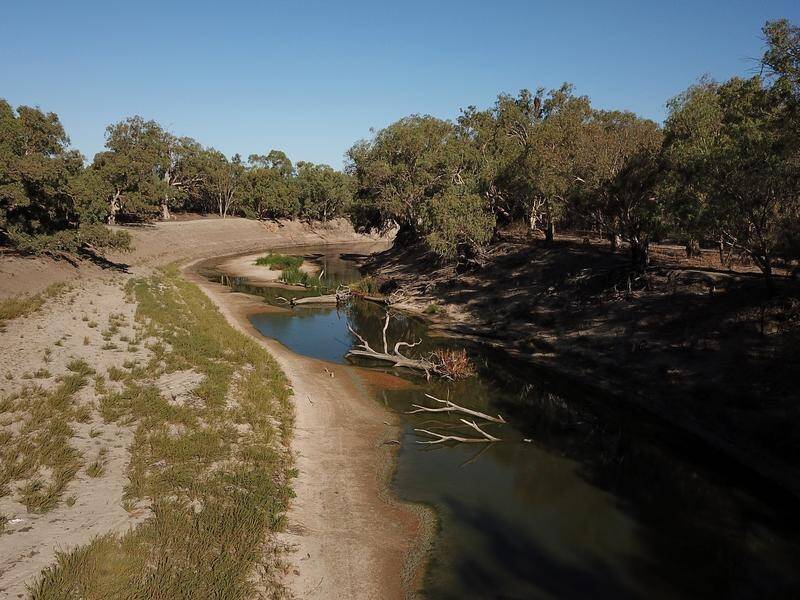 An expert says more water needs to be returned to rivers like the Darling to help wetlands survive. (Dean Lewins/AAP PHOTOS)