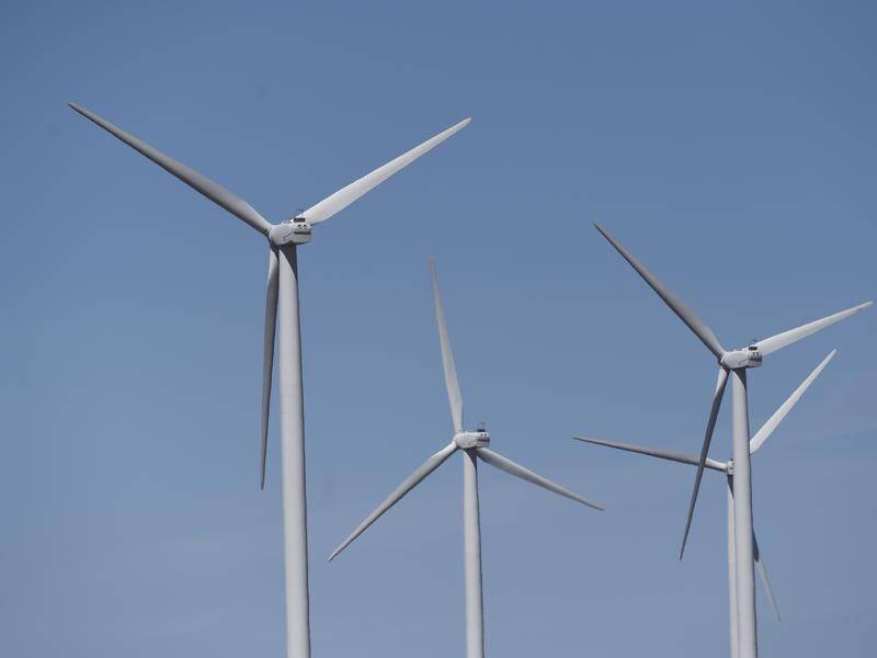 The federal government has vetoed a $370 million wind farm project in far north Queensland.
