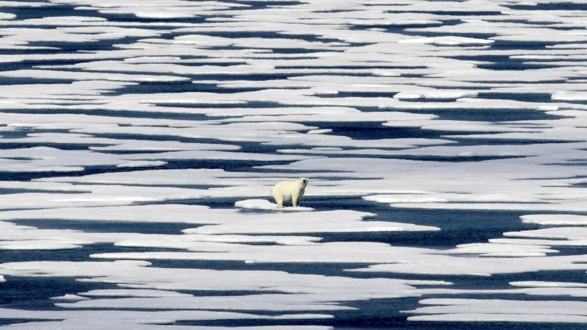 Arctic sea-ice is tipped to melt earlier in the year in ​many areas over the next half decade. (AP PHOTO)