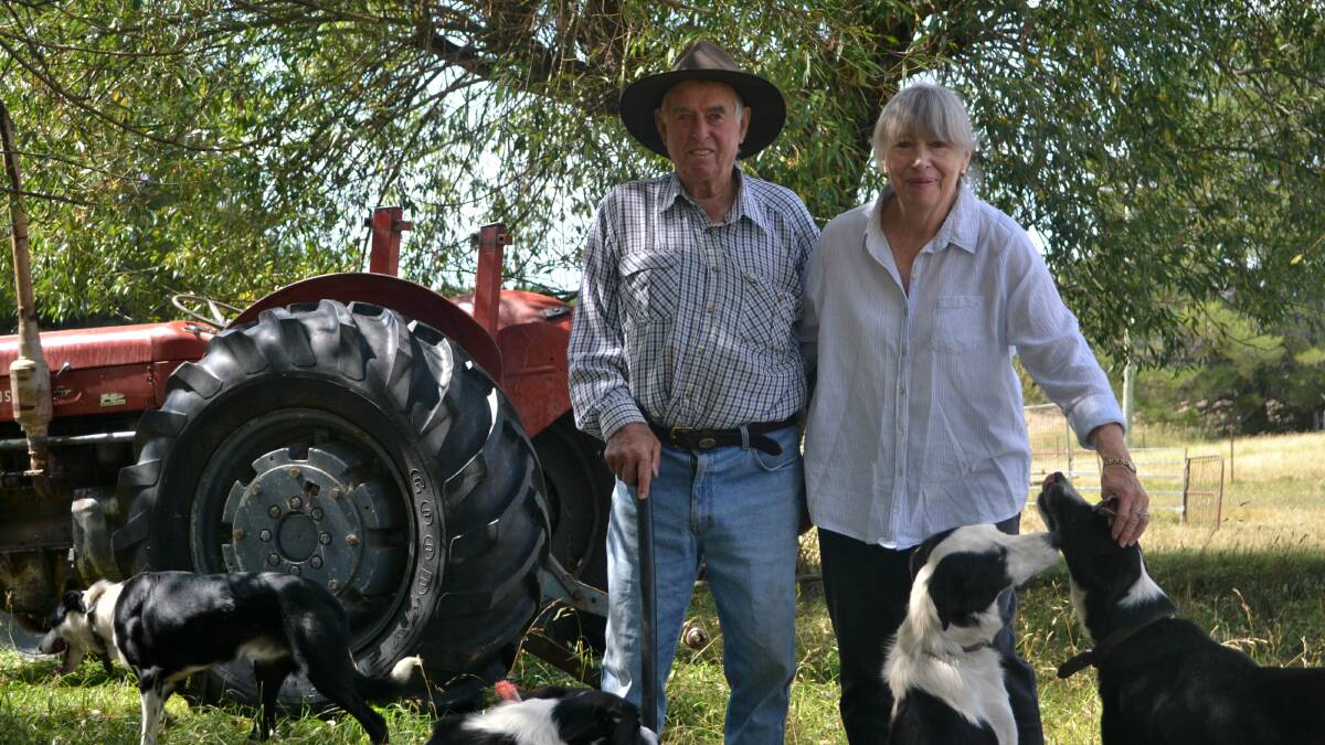 Lourie and Linda Slater discuss how bloodlines are essential for a good sheep dog and Australian Champion Wondara Drift's bloodline has been around since 1984. Photo: Jessica Cole